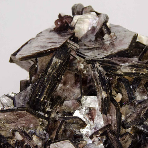 Muscovite