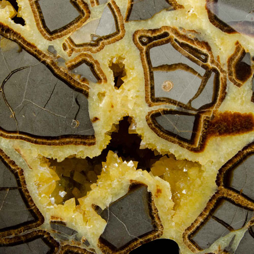 Septarian Nodule